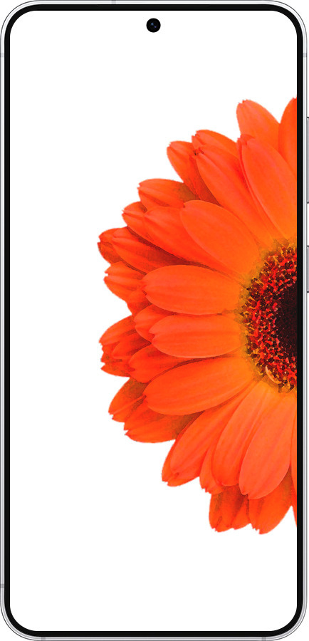 Силіконовий чехол Гербера 1 для Samsung Galaxy S25 - 4534u-3804 изображение 
