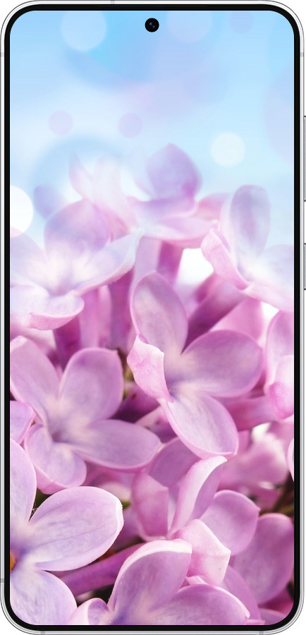 Силиконовый чехол Сирень для Samsung Galaxy S25 - 527u-3804 изображение 