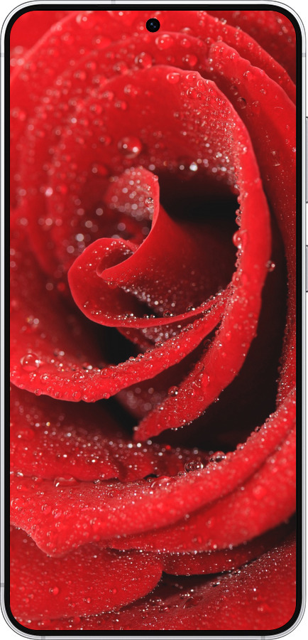Силиконовый чехол Красная роза для Samsung Galaxy S25 - 529u-3804 изображение 