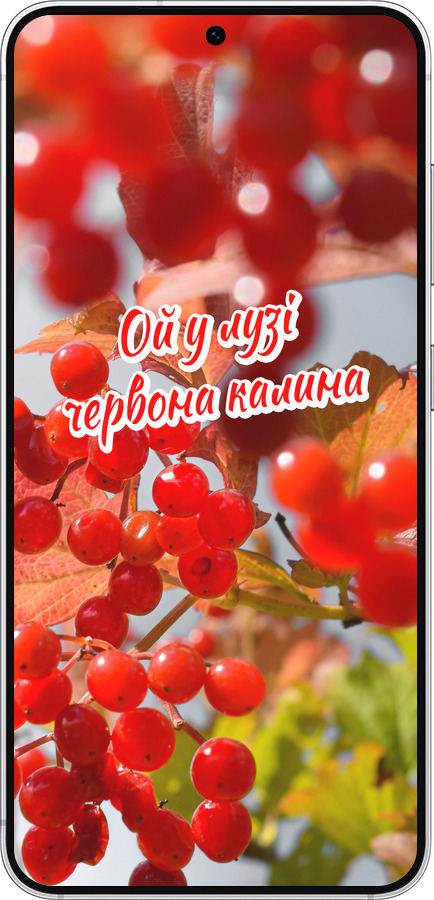 Силіконовий чехол Калина для Samsung Galaxy S25 - 5454u-3804 изображение 