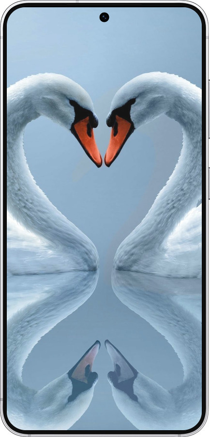 Силиконовый чехол Лебеди для Samsung Galaxy S25 - 6007u-3804 изображение 