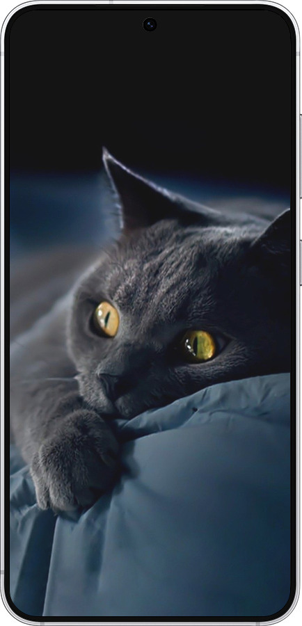 Силиконовый чехол Дымчатый кот для Samsung Galaxy S25 - 825u-3804 изображение 