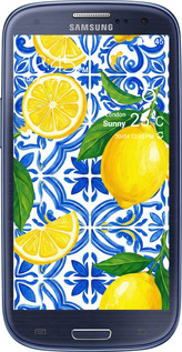 2D пластиковый чехол Grocery Girl Italian Summer для Samsung Galaxy S3 i9300 - 6766t-11 изображение 