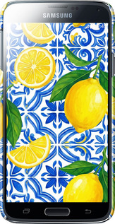 3D пластиковий матовий чехол Grocery Girl Italian Summer для Samsung Galaxy S5 Duos SM G900FD - 6766m-62 изображение 