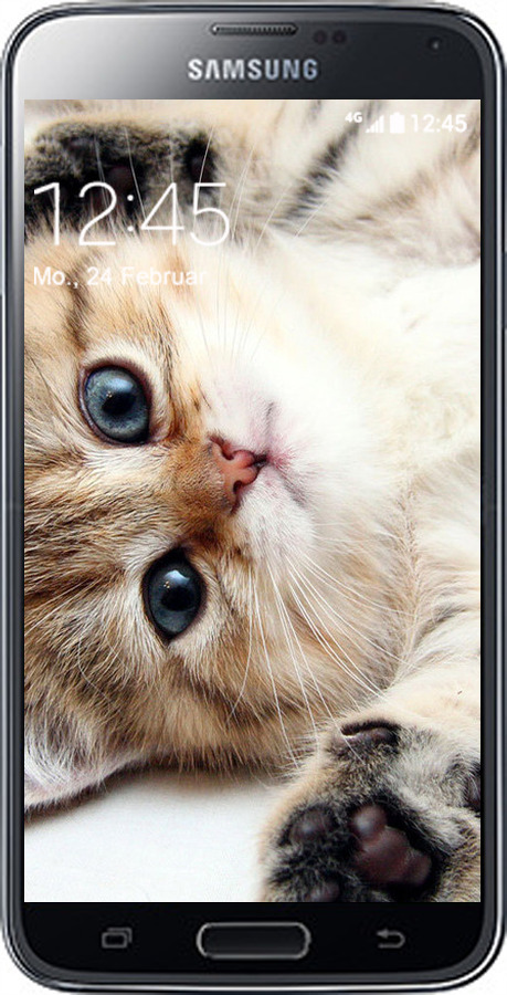2D пластиковий чехол Котик для Samsung Galaxy S5 g900h - 6024t-24 изображение 