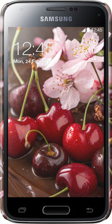 3D пластиковий глянцевий чехол Вишня у шоколаді для Samsung Galaxy S5 mini G800H - 6698c-44 изображение 