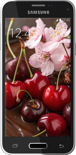 Силиконовый чехол Вишня в шоколаде для Samsung Galaxy S5 mini G800H - 6698u-44 изображение 