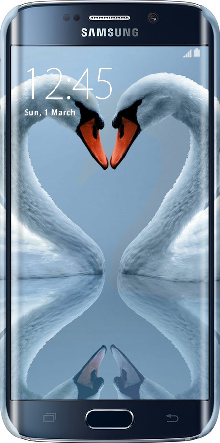 3D пластиковый матовый чехол Лебеди для Samsung Galaxy S6 Edge G925F - 6007m-83 изображение 