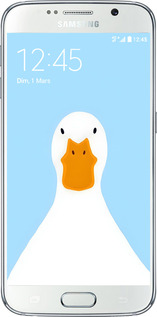 2D пластиковый чехол Гусь для Samsung Galaxy S6 G920 - 6350t-80 изображение 