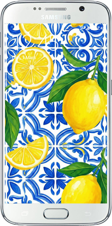 2D пластиковий чехол Grocery Girl Italian Summer для Samsung Galaxy S6 G920 - 6766t-80 изображение 