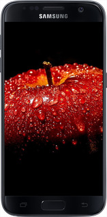2D пластиковый чехол Яблоко для Samsung Galaxy S7 G930F - 6022t-106 изображение 