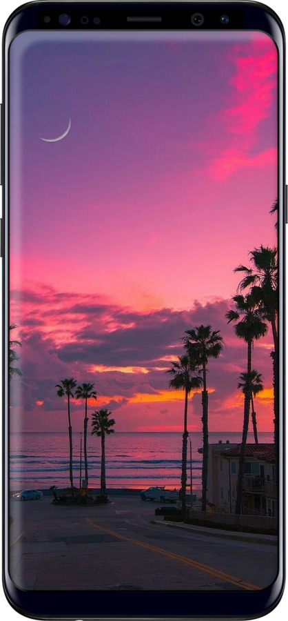 TPU чехол Пальми для Samsung Galaxy S8 Plus - 5873b-817 изображение 
