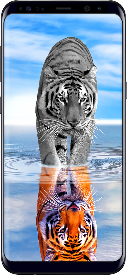 TPU чехол Тигр для Samsung Galaxy S8 Plus - 6016b-817 изображение 