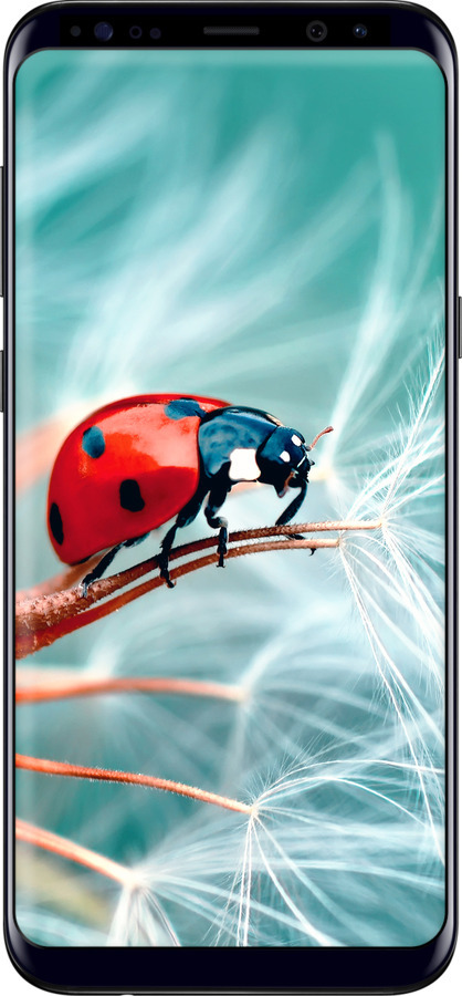 TPU чехол Сонечко для Samsung Galaxy S8 Plus - 6049b-817 изображение 