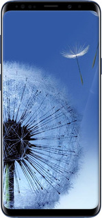 TPU чехол Одуванчик для Samsung Galaxy S9 Plus - 6005b-1365 изображение 