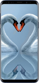 TPU чехол Лебеді для Samsung Galaxy S9 Plus - 6007b-1365 изображение 