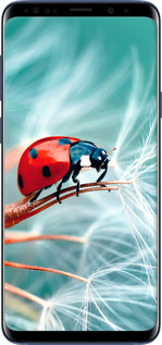 TPU чехол Божья коровка для Samsung Galaxy S9 Plus - 6049b-1365 изображение 