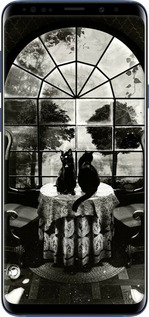 TPU чехол Череп та коти для Samsung Galaxy S9 Plus - 6432b-1365 изображение 