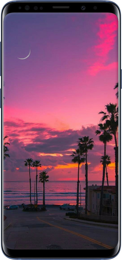 TPU чехол Пальми для Samsung Galaxy S9 Plus - 5873b-1365 изображение 