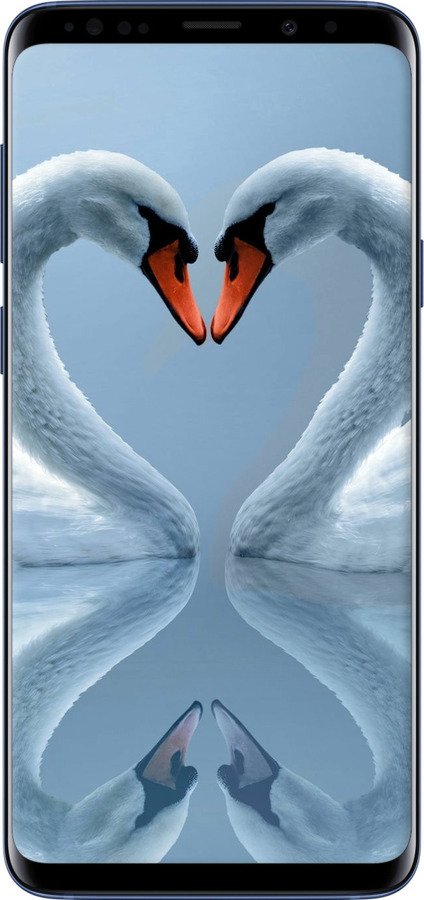 TPU чехол Лебеді для Samsung Galaxy S9 Plus - 6007b-1365 изображение 