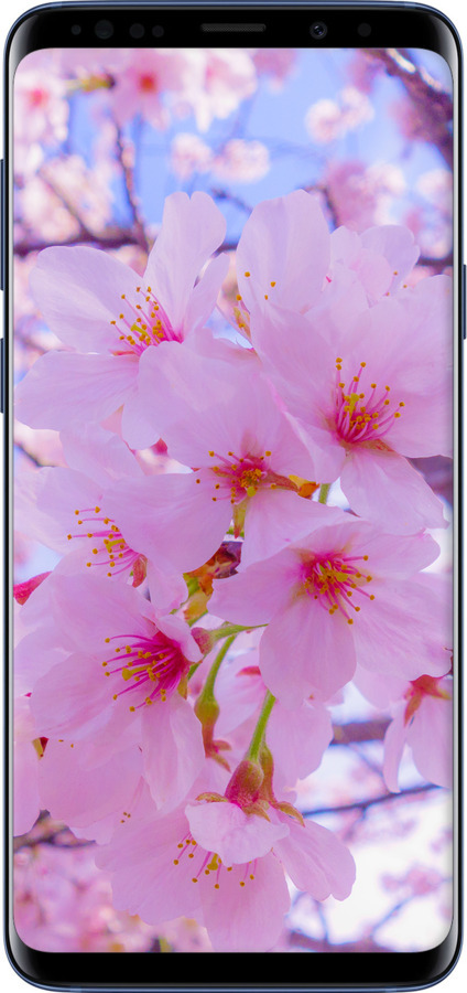 TPU чехол Сакура для Samsung Galaxy S9 Plus - 6029b-1365 изображение 