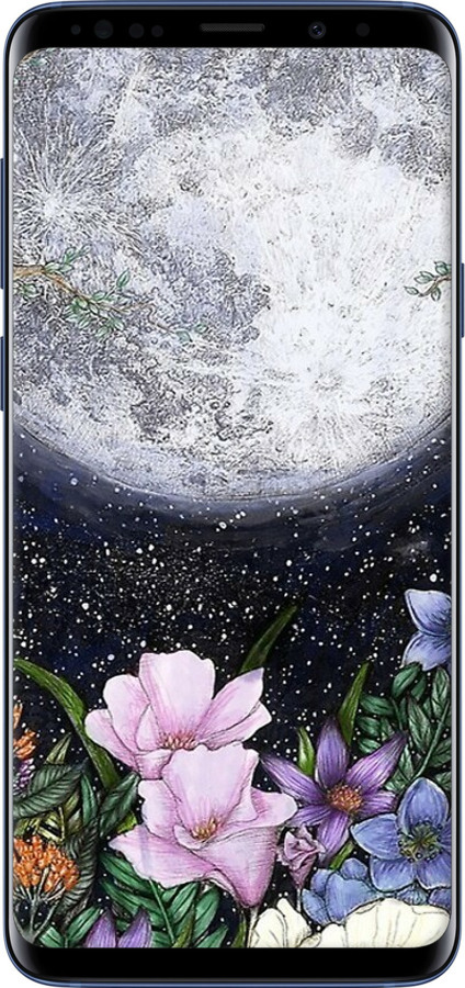 TPU чехол Полночь в саду для Samsung Galaxy S9 Plus - 6259b-1365 изображение 