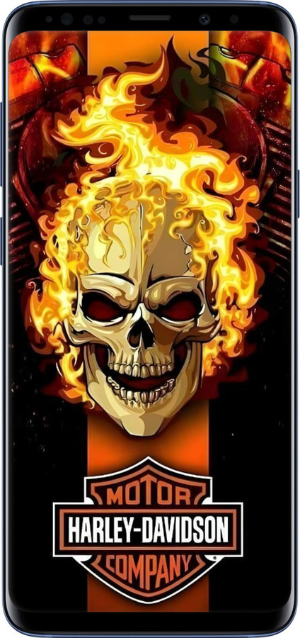 TPU чехол Харлей девидсон для Samsung Galaxy S9 Plus - 6370b-1365 изображение 