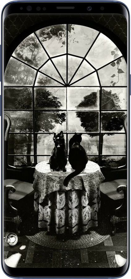 TPU чехол Череп та коти для Samsung Galaxy S9 Plus - 6432b-1365 изображение 