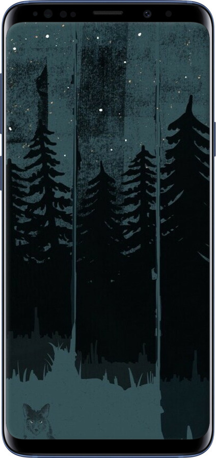 TPU чехол Лисиця та нічний ліс для Samsung Galaxy S9 Plus - 6481b-1365 изображение 