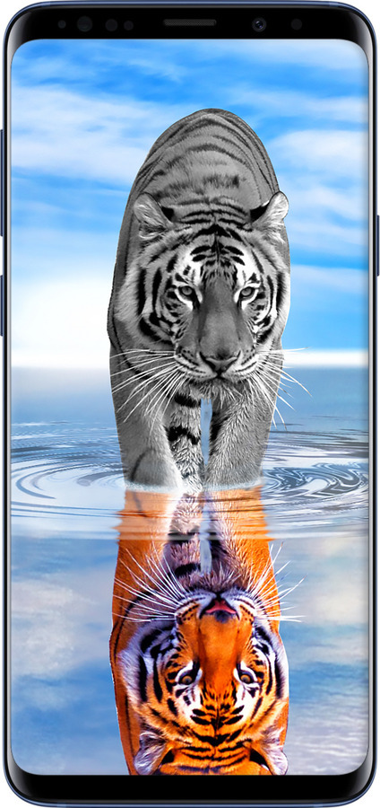 2D пластиковый чехол Тигр для Samsung Galaxy S9 Plus - 6016t-1365 изображение 