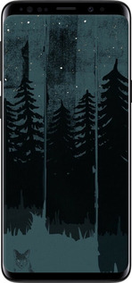 2D пластиковый чехол Лиса и ночной лес для Samsung Galaxy S9 - 6481t-1355 изображение 