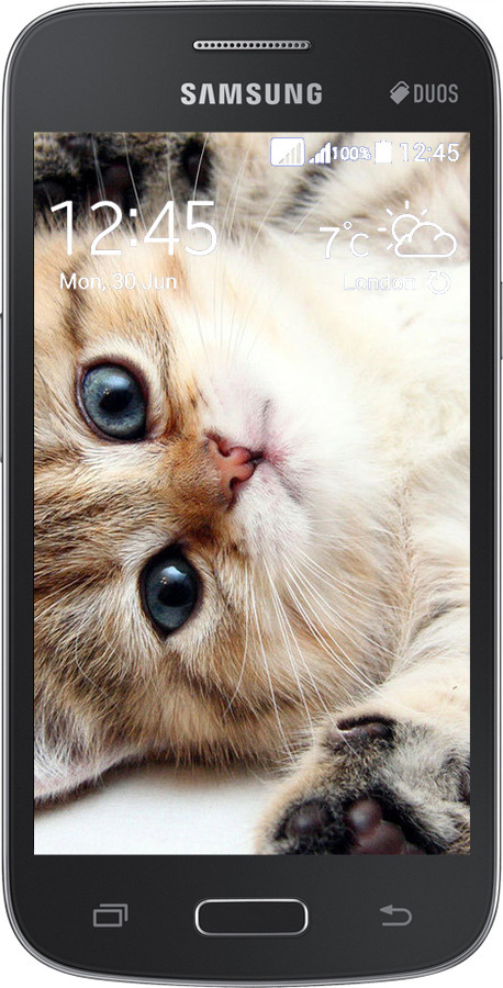 Силиконовый чехол Котик для Samsung Galaxy Star Advance G350E - 6024u-210 изображение 