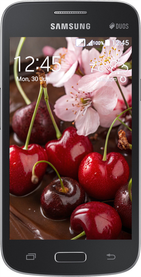 Силиконовый чехол Вишня в шоколаде для Samsung Galaxy Star Advance G350E - 6698u-210 изображение 