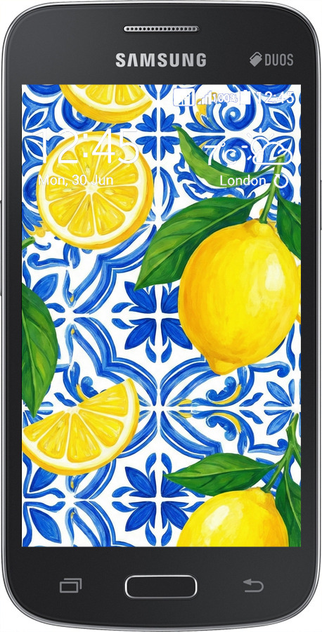 Силіконовий чехол Grocery Girl Italian Summer для Samsung Galaxy Star Advance G350E - 6766u-210 изображение 