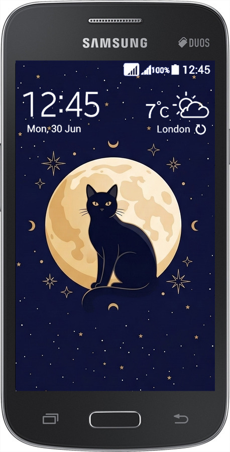 Силиконовый чехол Cute Cat Celestial/Witchy для Samsung Galaxy Star Advance G350E - 6787u-210 изображение 
