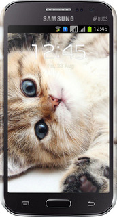 3D пластиковий глянцевий чехол Котик для Samsung Galaxy Win i8552 - 6024c-51 изображение 