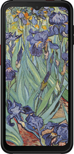 Силиконовый чехол Винсент Ван Гог. Ирисы для Samsung Galaxy Xcover 6 Pro - 161u-2918 изображение 