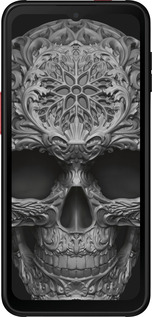 Силиконовый чехол skull-ornament для Samsung Galaxy Xcover 6 Pro - 4101u-2918 изображение 