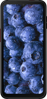 Силиконовый чехол Голубика для Samsung Galaxy Xcover 6 Pro - 4459u-2918 изображение 