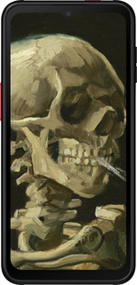 Силиконовый чехол Винсент Ван Гог. Череп для Samsung Galaxy Xcover 6 Pro - 5544u-2918 изображение 