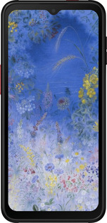 Силиконовый чехол Билокур для Samsung Galaxy Xcover 6 Pro - 5908u-2918 изображение 