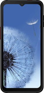 Силиконовый чехол Одуванчик для Samsung Galaxy Xcover 6 Pro - 6005u-2918 изображение 