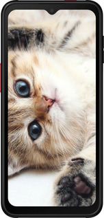 Силиконовый чехол Котик для Samsung Galaxy Xcover 6 Pro - 6024u-2918 изображение 