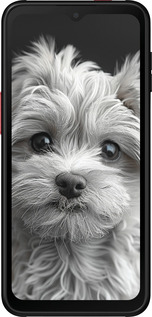 Силиконовый чехол Мальтипу на чорном фоне для Samsung Galaxy Xcover 6 Pro - 6156u-2918 изображение 