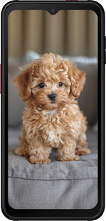 Силиконовый чехол Mini-maltipoo для Samsung Galaxy Xcover 6 Pro - 6158u-2918 изображение 