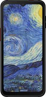 Силиконовый чехол «Звездная ночь» Винсента Ван Гога для Samsung Galaxy Xcover 6 Pro - 6433u-2918 изображение 