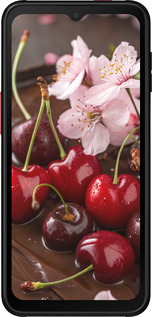 Силиконовый чехол Вишня в шоколаде для Samsung Galaxy Xcover 6 Pro - 6698u-2918 изображение 