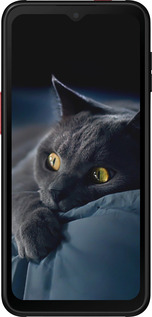 Силіконовий чехол Димчастий кіт для Samsung Galaxy Xcover 6 Pro - 825u-2918 изображение 