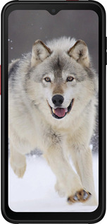 Силиконовый чехол Бегущий волк для Samsung Galaxy Xcover 6 Pro - 826u-2918 изображение 