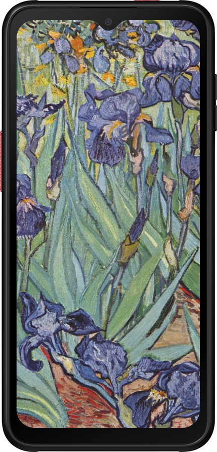 Силиконовый чехол Винсент Ван Гог. Ирисы для Samsung Galaxy Xcover 6 Pro - 161u-2918 изображение 